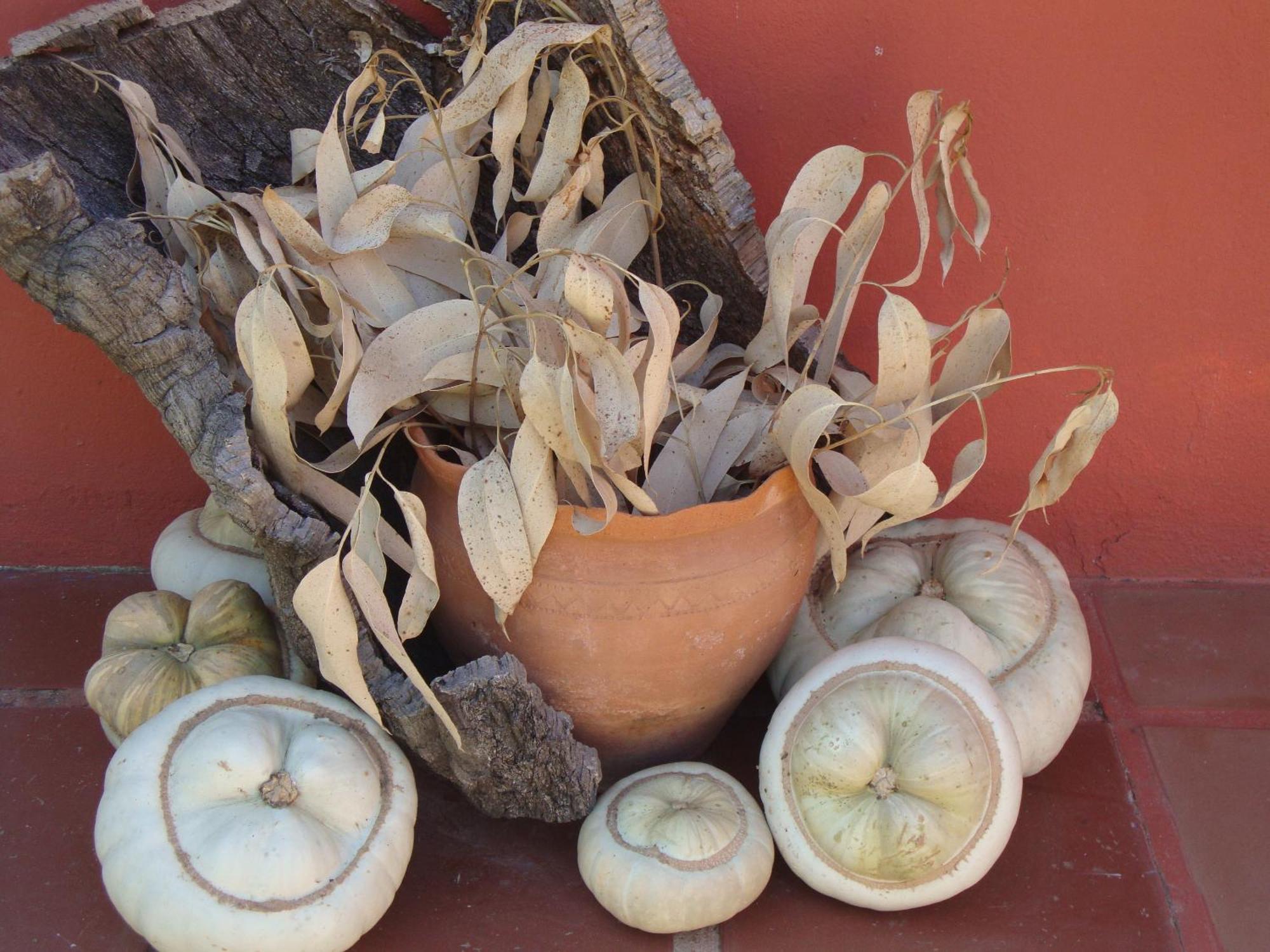 Cercal do Alentejo Verdemar מראה חיצוני תמונה